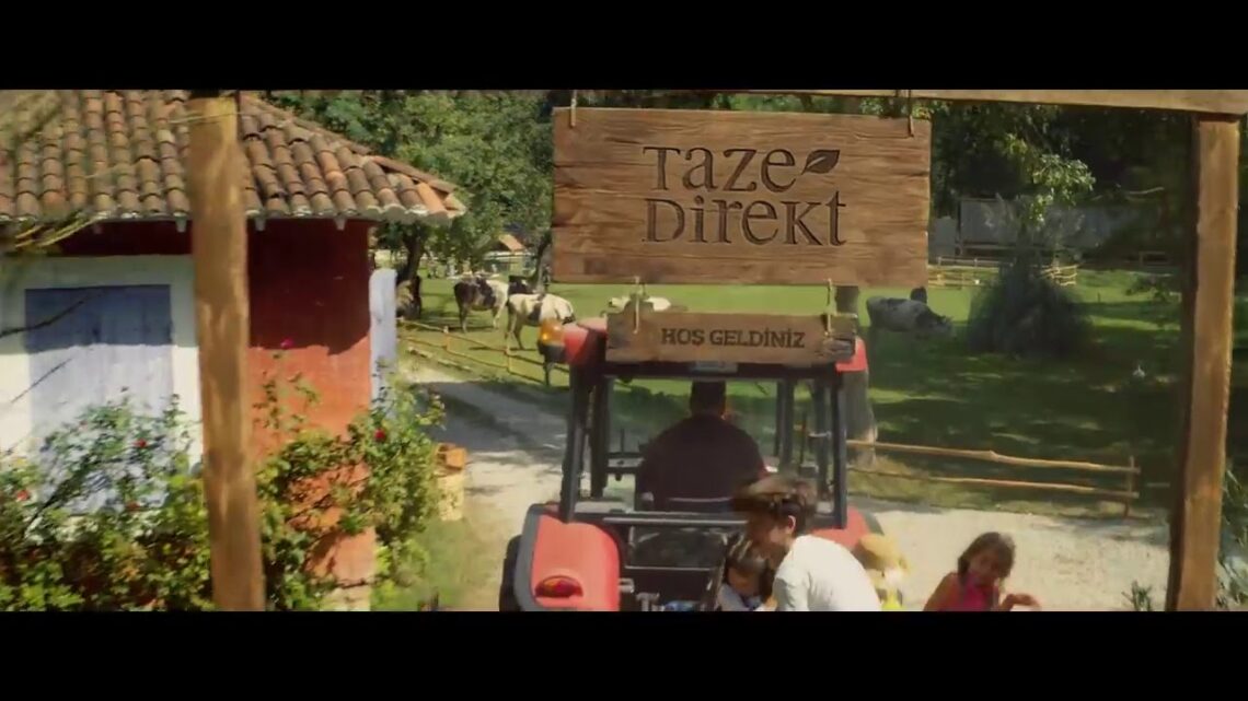 Taze Direkt Reklamı – İyi fikir, Puanlama